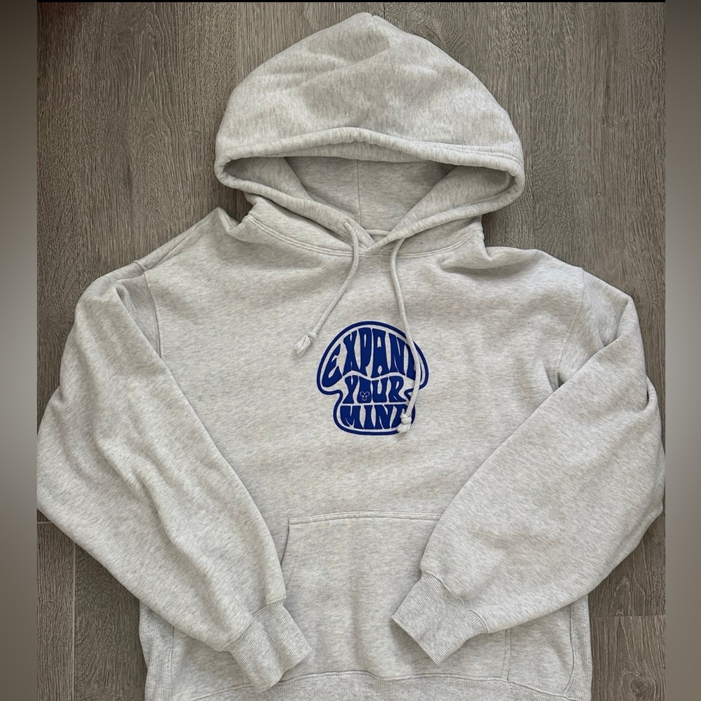 Aritzia TNA Cozy Boyfriend Hoodie